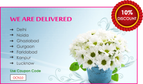 Free Cake & Flowers Delivery in Noida