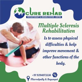 Multiple Sclerosis Physical Therapy Rehabilitation 