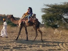 Camel Safari Jodhpur,Jeep Safari Jodhpur