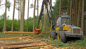 Lot Clearing in Rotherham