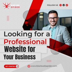 WordPress Website Designer