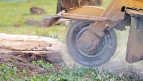 Stump Grinding in Rotherham