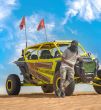 Desert Safari Dubai Pro Tours