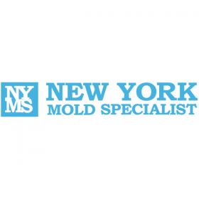 New York Mold Specialist
