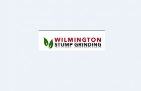Wilmington Stump Grinding