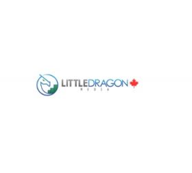 Little Dragon Media