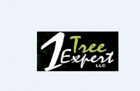 1 Tree Expert LLC