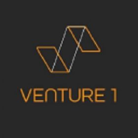 Venture 1 Consulting
