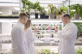 uTerra Middle East Agro Industries