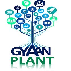 Gyaan Plant