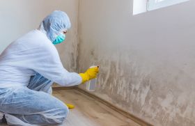 Three Chopt Mold Removal Pros