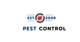 Pest Control in Meerut | Pest Control Meerut for Effective Solutions
