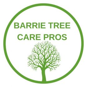 Barrie Tree Care Pros