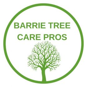 Barrie Tree Care Pros
