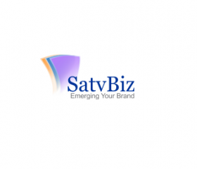 Satvbiz - Digital Marketing Agency