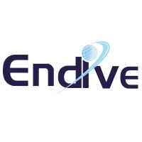 Endive Software