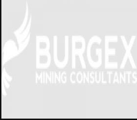 Burgex Mining Consultants