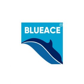 Blueace India Limited 