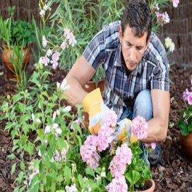 Gardeners Cricklewood