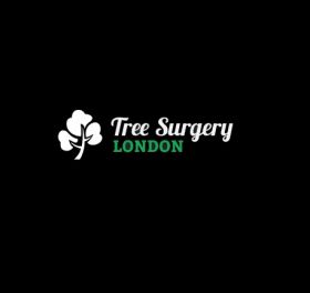 Tree Surgery London