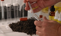 Best Soil Testing Labs in Chennai