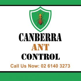 Canberra Ant Control