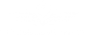 Security Services in Ahmedabad - Strike Force Security Pvt. Ltd.