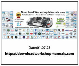 Workshop Manuals