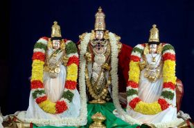 Padmavathi Travels 