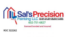 Sal's precision painting