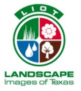 Landscape Images of Texas