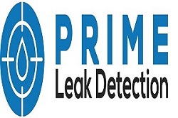 Prime leak detection