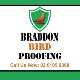 Braddon Bird Proofing