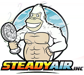 Steady Air Inc.