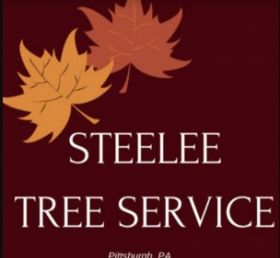 Steelee Tree Service Pittsburgh