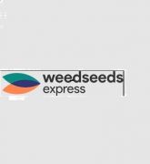 WeedSeedsExpress USA