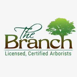 The Branch