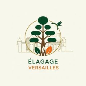 Élagage Versailles – Abattage & Entretien Arboricole