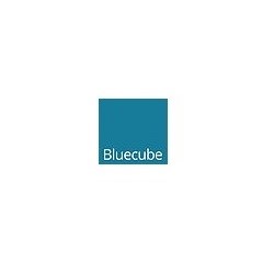 Bluecube Technology Solutions