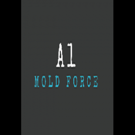 A1 Mold Force