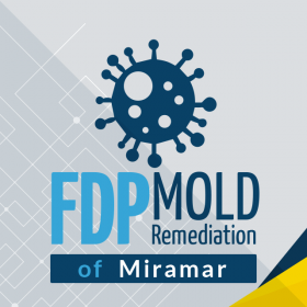 FDP Mold Remediation of Miramar