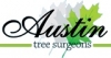 Austin Tree Surgeons