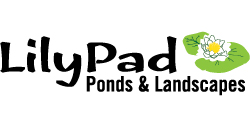 Lily Pad Ponds inc.