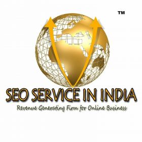 SEO Service Company Delhi India