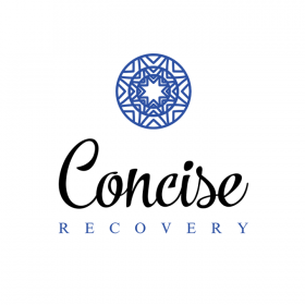 Concise Recovery