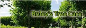 Roley's Tree Care Service - Riverside Consulting Arborist