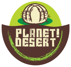 Planet Desert