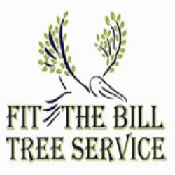 Fit the Bill – North Brisbane Tree Lopping