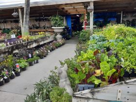 Carine Garden Centre & Water World