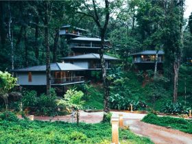 Coorg Resorts 